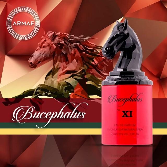 Bucephalus XI.