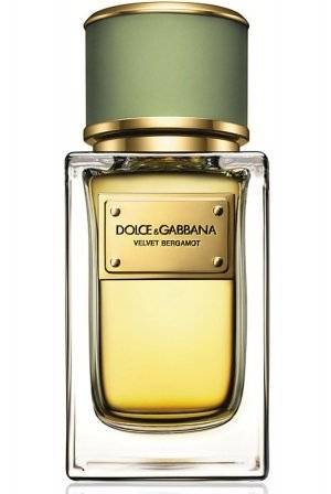 Dolce & Gabbana   Velvet Collection: Velvet Bergamot 