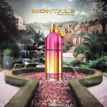 MONTALE The New Rose