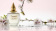 M.Micallef Ananda M.Micallef Ananda