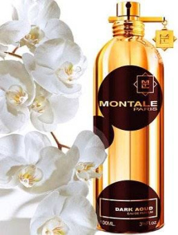 MONTALE   Dark Aoud
