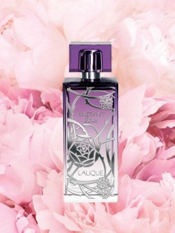 Lalique Amethyst Eclat