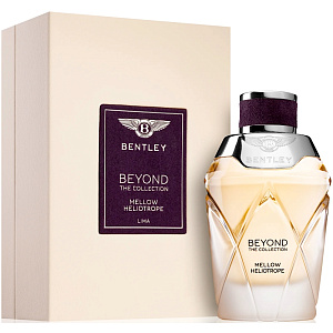 Bentley Mellow Heliotrope