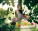 Mancera Musky Garden Mancera Musky Garden