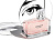 Calvin Klein Women Eau De Parfum