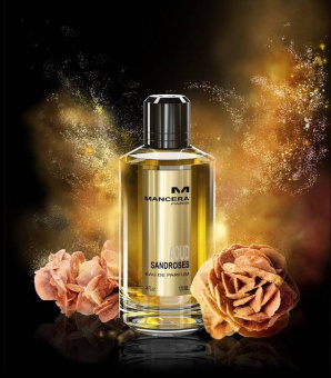 MANCERA Aoud Sandroses 
