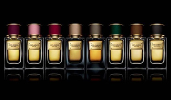 Dolce & Gabbana   Velvet Collection:Velvet Tender Oud