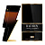 Carolina Herrera Bad Boy Elixir
