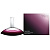 Calvin Klein Euphoria Intense For Women