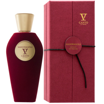 V Canto Mandragola
