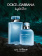 Dolce & Gabbana Light Blue Eau Intense pour Homme